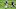 Minnesota Vikings Minnesota Vikings