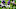 Minnesota Vikings Minnesota Vikings