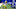 Minnesota Vikings Minnesota Vikings