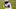 Minnesota Vikings Minnesota Vikings