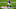 Minnesota Vikings Minnesota Vikings