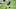 Minnesota VIkings Minnesota VIkings
