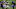 Minnesota Vikings Minnesota Vikings
