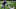 Minnesota Vikings Minnesota Vikings