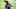 Minnesota Vikings Minnesota Vikings