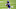 Minnesota Vikings Minnesota Vikings