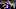 Minnesota Vikings