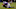 Minnesota Vikings Minnesota Vikings