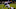 Minnesota Vikings Minnesota Vikings