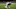 Minnesota Vikings Minnesota Vikings