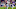 Minnesota Vikings Minnesota Vikings