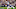 Minnesota Vikings Minnesota Vikings