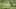 Minnesota Vikings Minnesota Vikings
