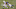 Minnesota Vikings Minnesota Vikings