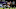Minnesota Vikings Minnesota Vikings