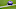 Minnesota Vikings Minnesota Vikings