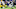 Minnesota Vikings Minnesota Vikings
