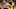 Minnesota Vikings Minnesota Vikings
