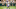 Minnesota Vikings Minnesota Vikings