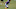 Minnesota Vikings Minnesota Vikings