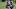 Minnesota Vikings Minnesota Vikings