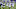 Minnesota Vikings Minnesota Vikings