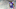 Minnesota Vikings Minnesota Vikings