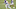 Minnesota Vikings Minnesota Vikings