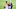 Minnesota Vikings