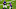 Minnesota Vikings Minnesota Vikings