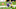Minnesota Vikings Minnesota Vikings
