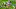 Minnesota Vikings Minnesota Vikings