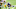 Minnesota Vikings Minnesota Vikings