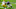 Minnesota Vikings Minnesota Vikings