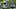 Minnesota Vikings Minnesota Vikings
