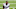 Minnesota Vikings Minnesota Vikings