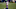 Minnesota Vikings Minnesota Vikings