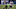 Minnesota Vikings Minnesota Vikings