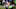 Minnesota Vikings Minnesota Vikings