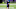 Minnesota Vikings Minnesota Vikings