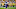 Minnesota Vikings Minnesota Vikings