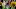Minnesota Vikings Minnesota Vikings