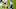 Minnesota Vikings Minnesota Vikings