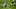 Minnesota Vikings Minnesota Vikings
