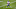 Minnesota Vikings Minnesota Vikings