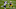 Minnesota Vikings Minnesota Vikings