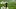 Minnesota Vikings Minnesota Vikings