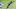 Minnesota Vikings Minnesota Vikings