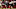 Minnesota Vikings Minnesota Vikings