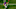 Minnesota Vikings Minnesota Vikings